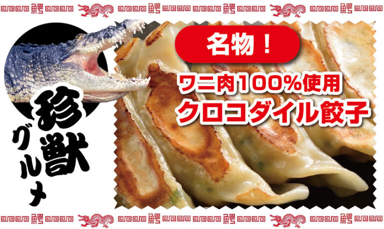 クロコダイル餃子