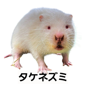 タケネズミ