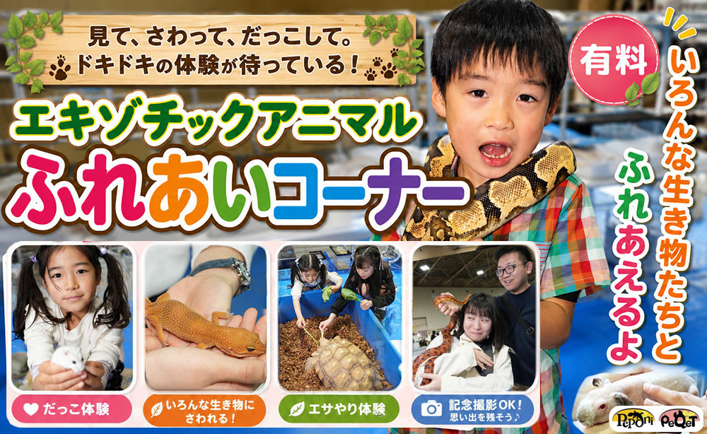 ふれあいコーナーバナー