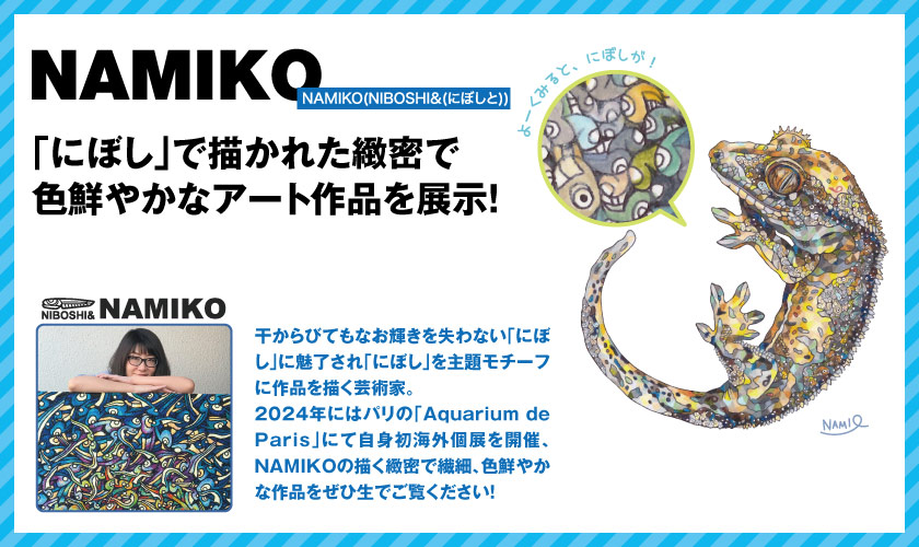 NAMIKO　にぼしアート