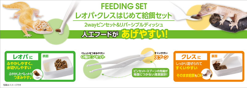 FEEDING SET　レオパ・クレスはじめて給餌セット