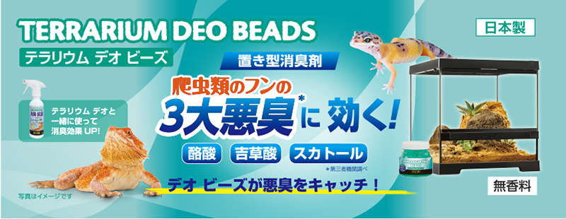 テラリウム デオ ビーズ