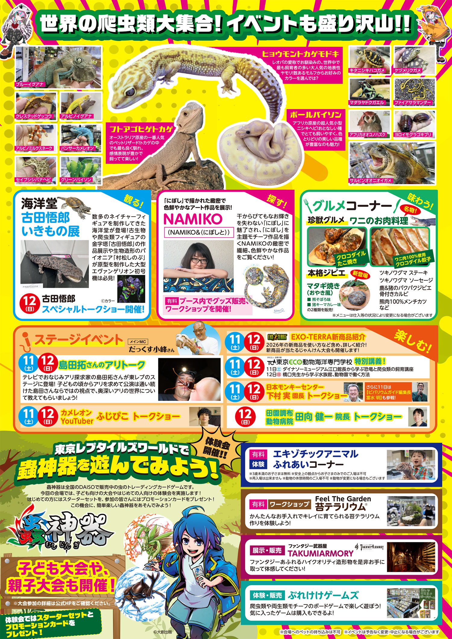 チラシ裏